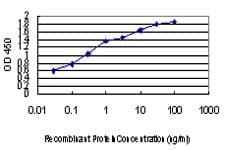 IHC-plus™ PER2 Antibody (clone 5C10)