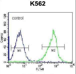 GSTM5-5 / GSTM5 Antibody (aa14-43)