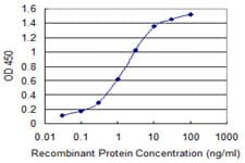 RABGAP1L Antibody (clone 2D3)