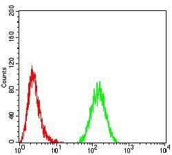 TBP / GTF2D Antibody (clone 7G11C8)