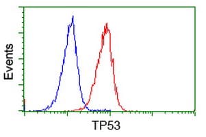 TP53 / p53 Antibody (clone OTI1D8)