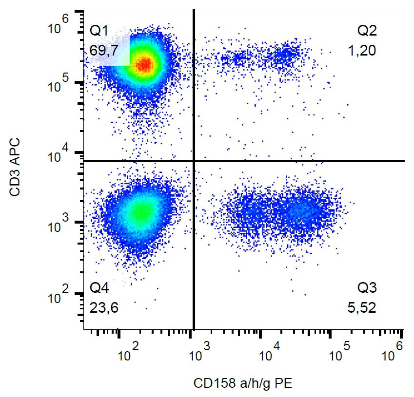 CD158a + CD158g + CD158h Antibody (clone HP-MA4, PE)