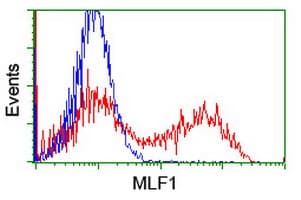 MLF1 Antibody (clone OTI3A3)