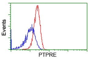 PTPRE / PTP Epsilon Antibody (clone OTI4G2)