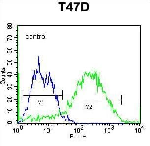 IHC-plus™ Monoclonal Mouse anti-Human SDC1 / Syndecan 1 / CD138 Antibody (aa210-238, IHC, IF, WB)
