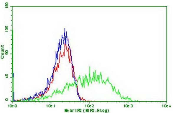 Monoclonal Mouse anti-Human PDCD1 / CD279 / PD-1 Antibody (clone OTI1B11, IF, WB)