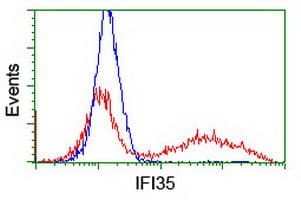 IFI35 Antibody (clone OTI1D9, Carrier-free)