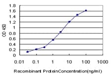 RAB3A Antibody (clone 4H7)