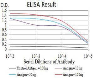 Monoclonal Mouse anti-Human PRKAA2 / AMPK Alpha 2 Antibody (clone 8E11H5, IHC, WB)