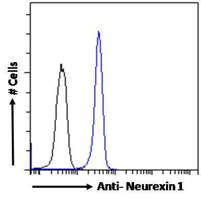 NRXN1 / Neurexin 1 Antibody (aa1524-1537)
