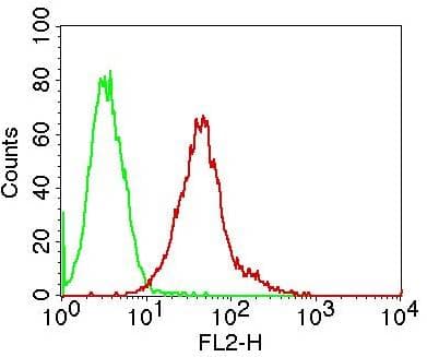 TNFSF11 / RANKL / TRANCE Antibody