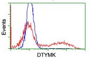 Thymidylate Kinase Antibody (clone OTI1C4)