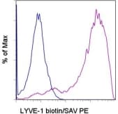 Monoclonal Rat anti-Mouse LYVE1 Antibody (clone ALY7, Biotin)