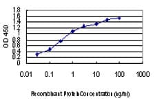 FGF21 Antibody (clone 2F11)