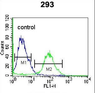 Polyclonal Rabbit anti-Human OR4F15 Antibody (aa69-96, WB)
