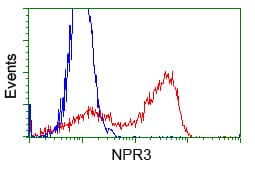 NPR3 Antibody (clone OTI4H1)