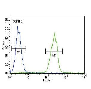 SERPINA7 / TBG Antibody (aa354-383)