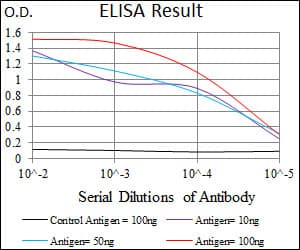 GNL3 / NS / Nucleostemin Antibody (aa1-226, clone 2C8D5)