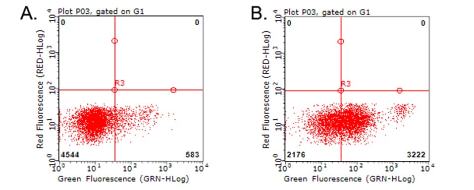 CD274 / B7-H1 / PD-L1 Antibody (clone OTI4G4)