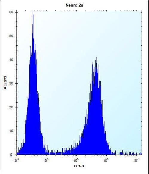 LYPLAL1 Antibody (aa88-117)