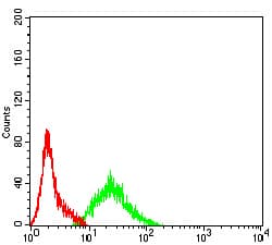 Monoclonal Mouse anti-Human RIP4 / ANKRD3 Antibody (clone 1F7D9, WB)