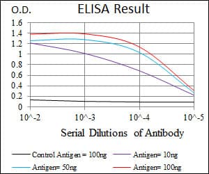 CYP3A4 / Cytochrome P450 3A4 Antibody (aa 243-430, clone 3H8)