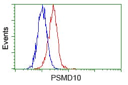Monoclonal Mouse anti-Human PSMD10 / Gankyrin Antibody (clone OTI3F6, WB)