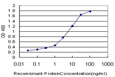 NOLC1 Antibody (clone 6B4)