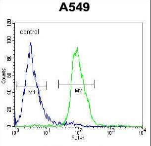 DCAF10 Antibody (aa113-142)