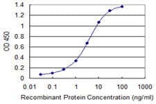 Monoclonal Mouse anti-Human GSTA2 Antibody (clone 3D4, IF, WB)