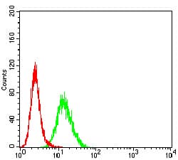 PCDH9 Antibody (clone 7G3A2)