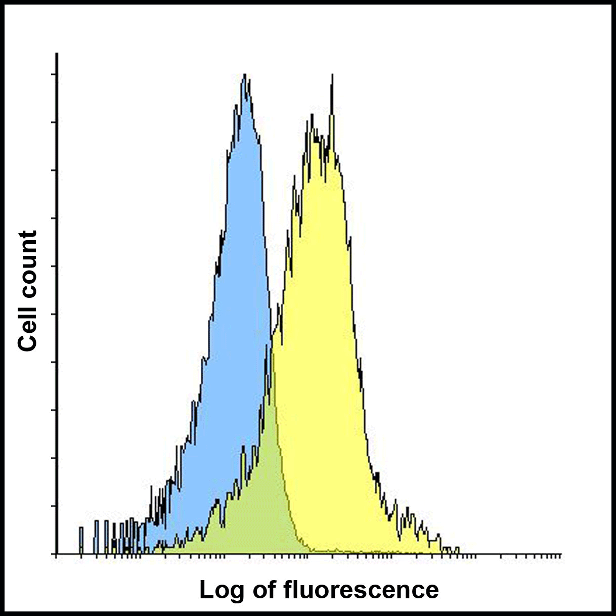 HAVCR2 / TIM-3 Antibody (clone 3G7)