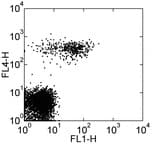 FCER2 / CD23 Antibody (clone EBVCS2, FITC)