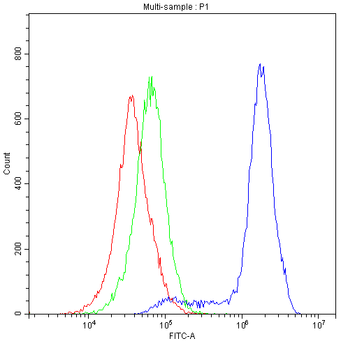 Monoclonal Mouse anti-Human XPO1 / CRM1 Antibody (DY488)