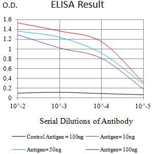 Monoclonal Mouse anti-Human PTPRF Antibody (clone 6D7C7, WB)