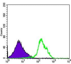 CD1A Antibody (clone 6H3)