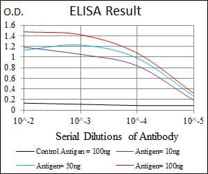 Monoclonal Mouse anti-Human FN1 / Fibronectin Antibody (clone 2F4, IHC, WB)