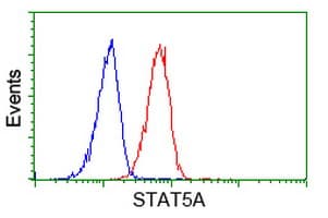 STAT5A Antibody (clone OTI6D6)
