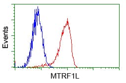 HMRF1L / MTRF1L Antibody (clone OTI1B3, Carrier-free)