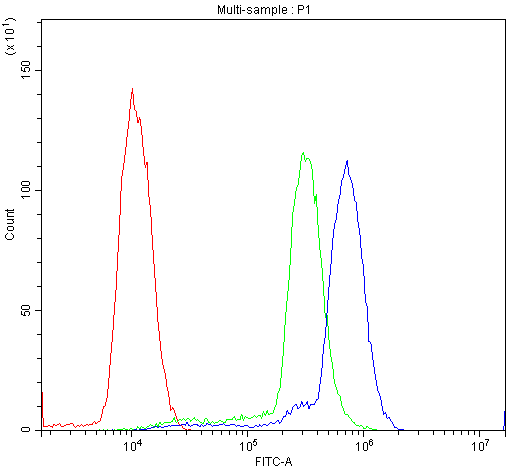 Polyclonal Rabbit anti-Human CCND3 / Cyclin D3 Antibody (aa136-292, WB)