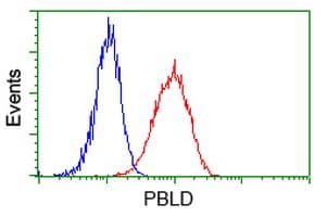 MAWDBP / PBLD Antibody (clone OTI7G5, Carrier-free)