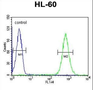 MICALL2 Antibody (aa841-870)