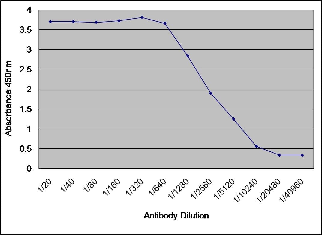 ALB / Serum Albumin Antibody