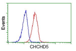 CHCHD5 Antibody (clone OTI9E11)