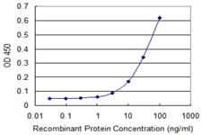 SDF2 Antibody (clone 3G7-1D6)