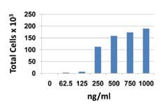 Mouse BLC / CXCL13 Protein (Recombinant)