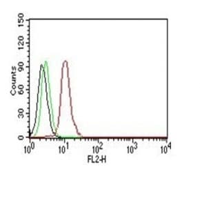 CCND1 / Cyclin D1 Antibody (clone SPM587, Azide-free, BSA-free)