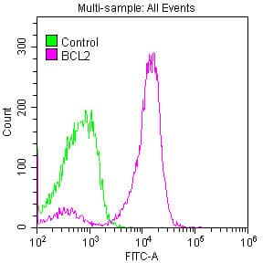 Recombinant Monoclonal Rabbit anti-Human BCL2 / Bcl-2 Antibody (IHC, WB)