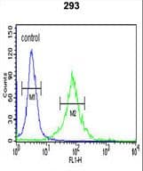 FAM123B / WTX Antibody (aa681-708)