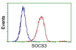 SOCS3 Antibody (clone OTI3B8, Carrier-free)